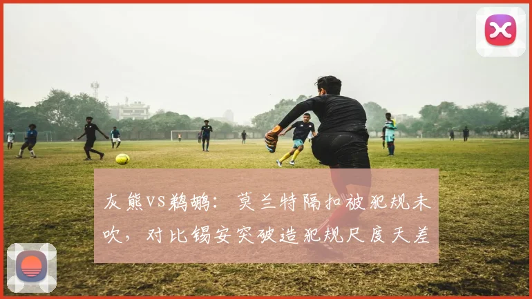 灰熊vs鹈鹕：莫兰特隔扣被犯规未吹，对比锡安突破造犯规尺度天差地别